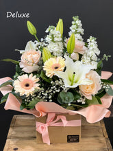 Load image into Gallery viewer, Apricot Dream