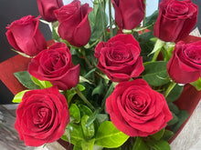 Load image into Gallery viewer, Romance