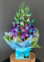 Load image into Gallery viewer, Luna