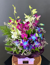 Load image into Gallery viewer, Luna