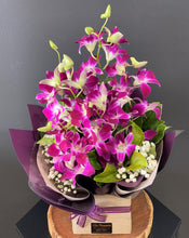 Load image into Gallery viewer, Luna