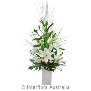 Elegant White Orientals