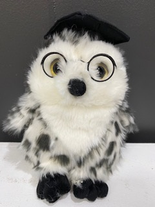 Graduation Owl