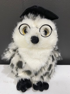 Graduation Owl