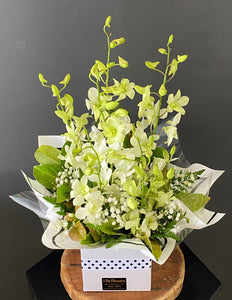 Orchid Box Display