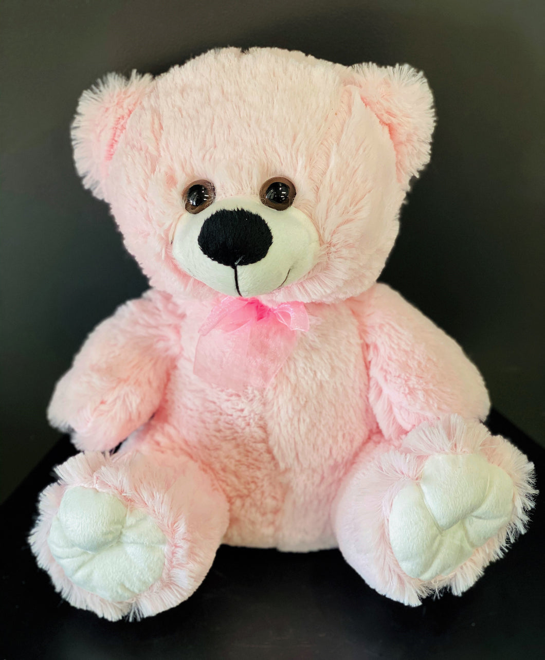 Pink Teddy Bear