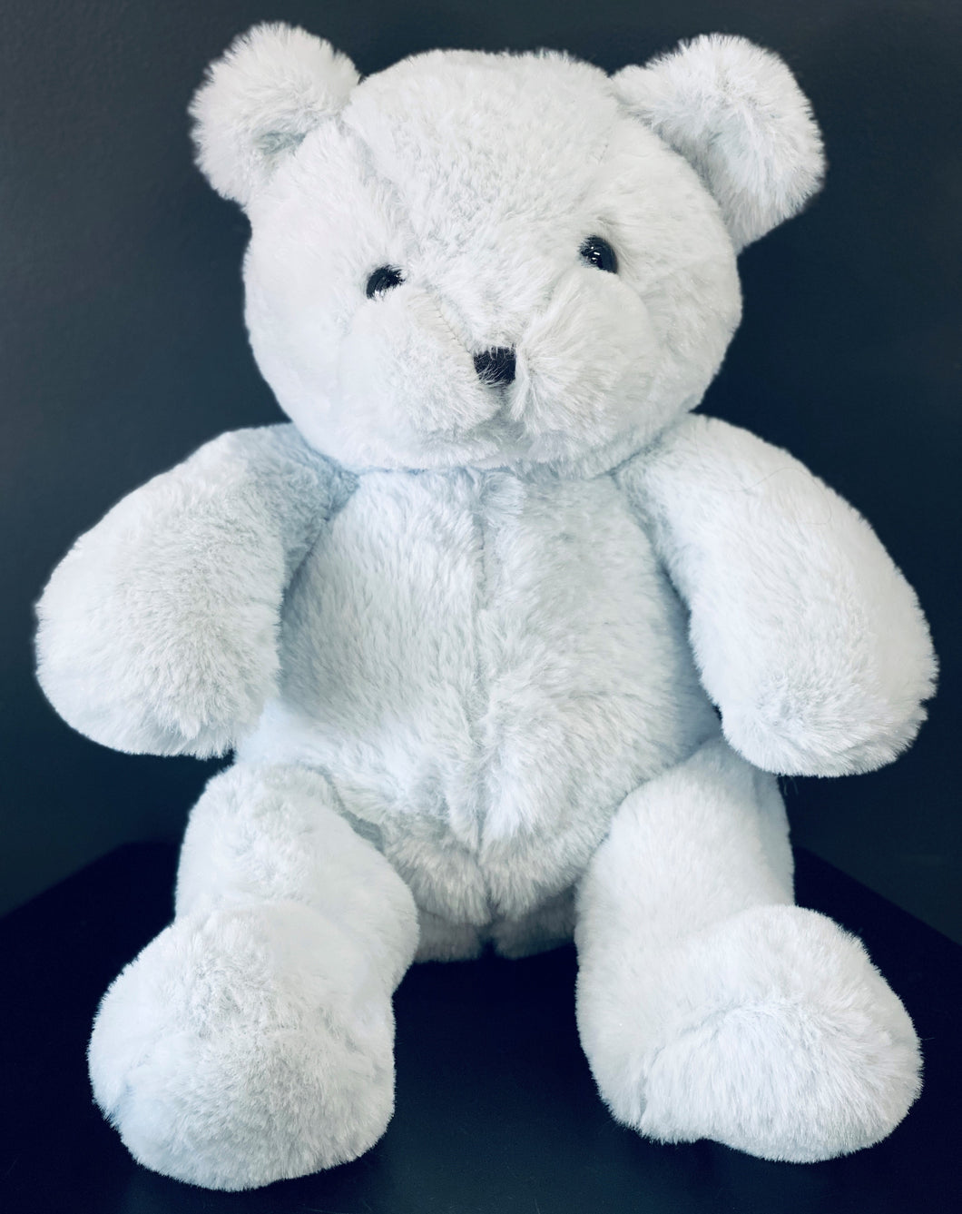 Plush Blue Bear