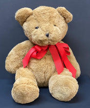Load image into Gallery viewer, Valentines Benji Bear
