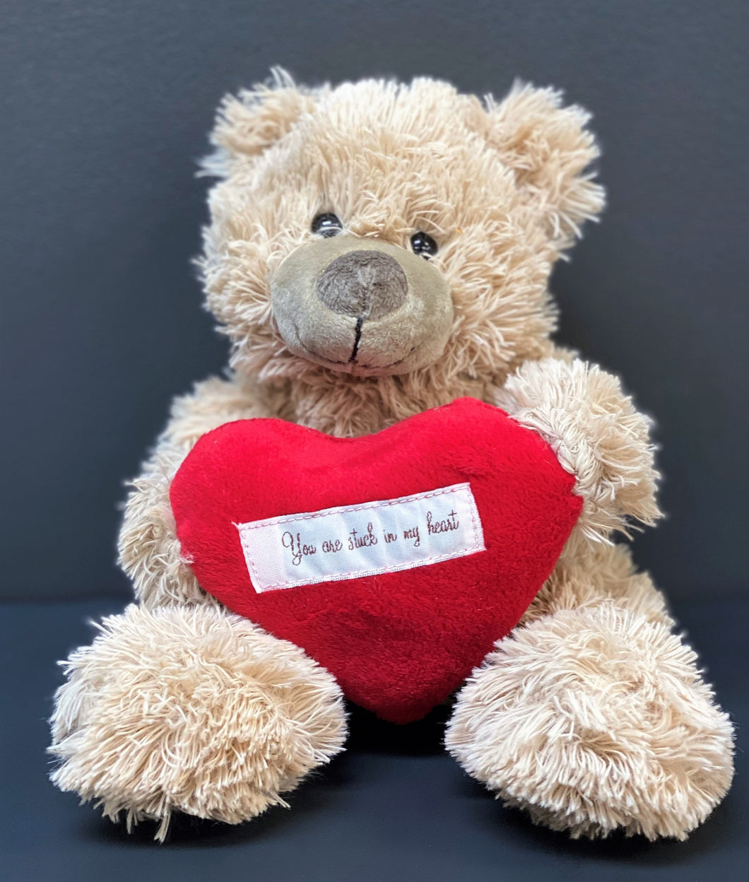 You are Stuck in my Heart Bear
